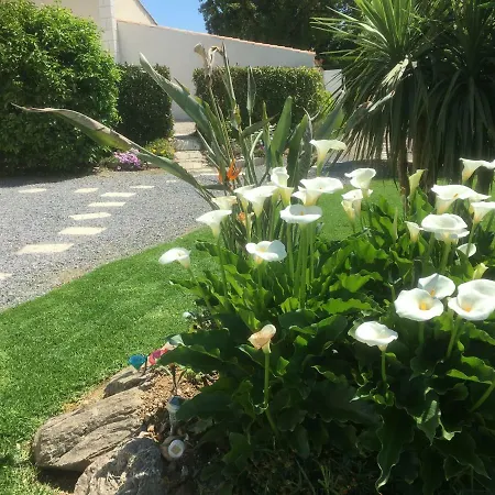 Des Sables * Grimaud